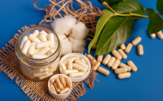 What Are The Best Probiotics Supplements For Gut Health?